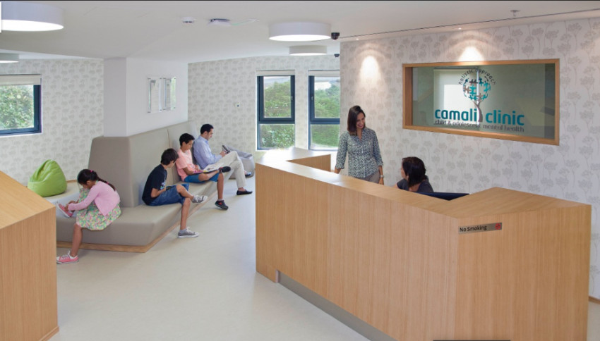 How Seeing a Psychiatrist Can Help You?