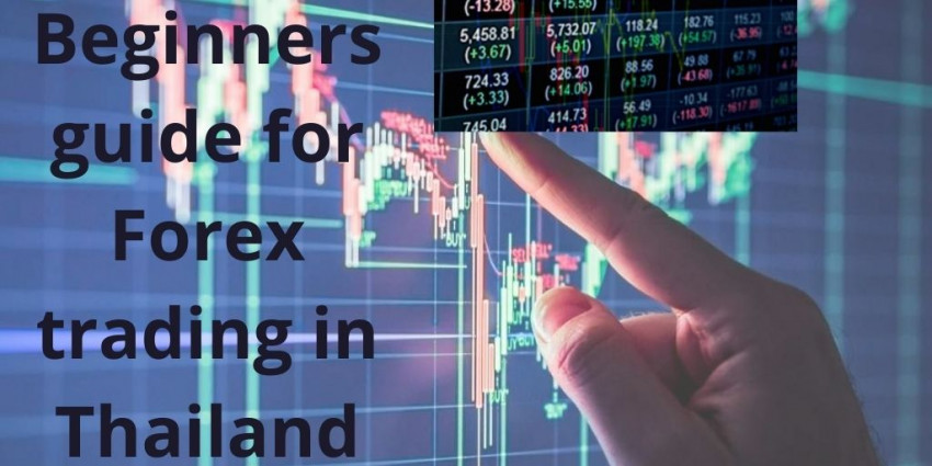 Beginners guide for Forex trading in Thailand