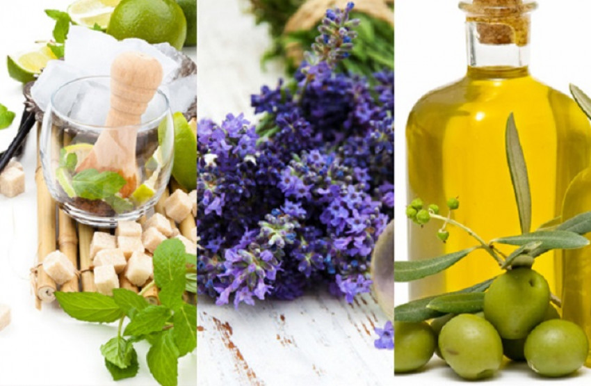 Classic Fragrances Never Go Out of Style