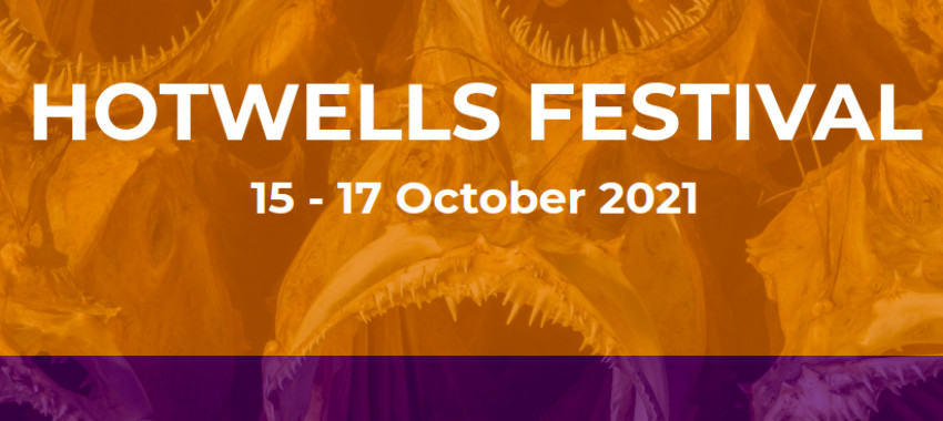 Celebration near me: a quick intro