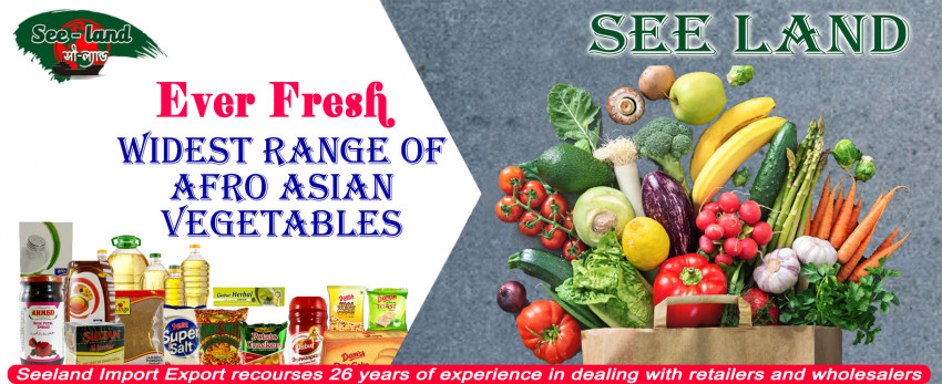 5 Indispensable Things You Need To Know Before Choosing Online Grocery Store