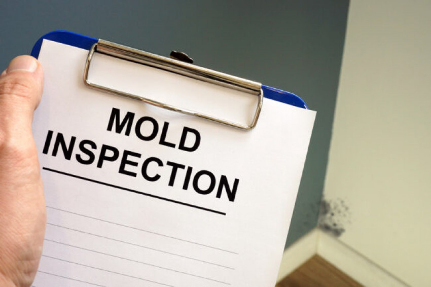 Why do you need a mold inspector for Mold Inspection and Testing in San Francisco Bay Area