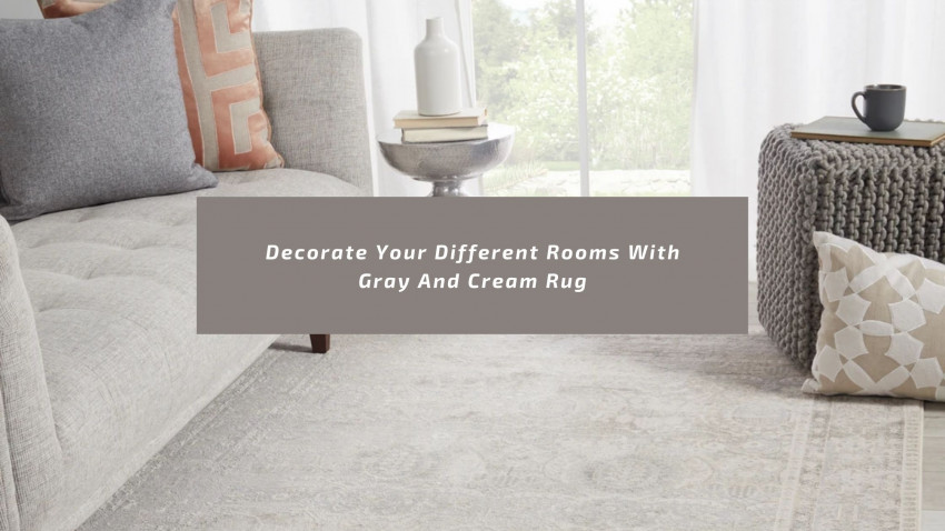 Decorate Your Different Rooms With Gray And Cream Rugs