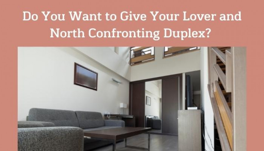 Do You Want to Give Your Lover and North Confronting Duplex?