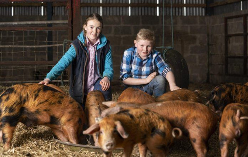 How Many Acres Qualify As A Farm UK?