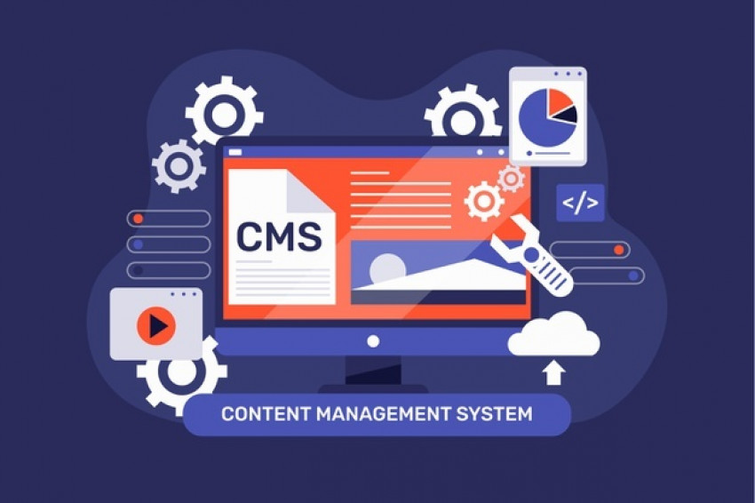 How Does a CMS Website Help Your Business to Grow?