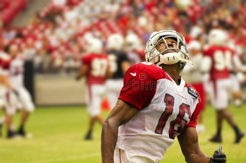 Best Teams in National Football League 2022