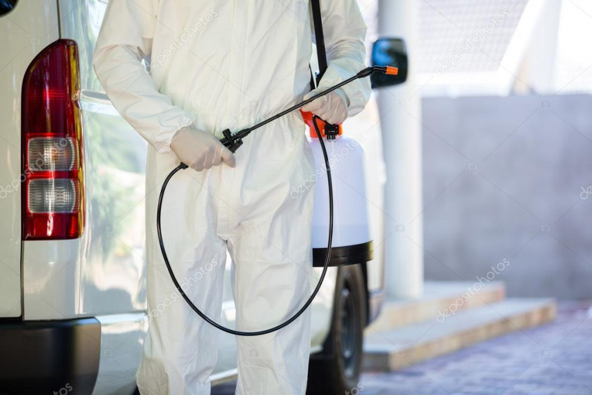 Learn Everything About Pest Control In This Article