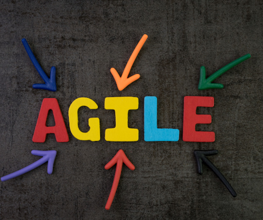 Introduction To The Disciplined Agile Principles- DASSM