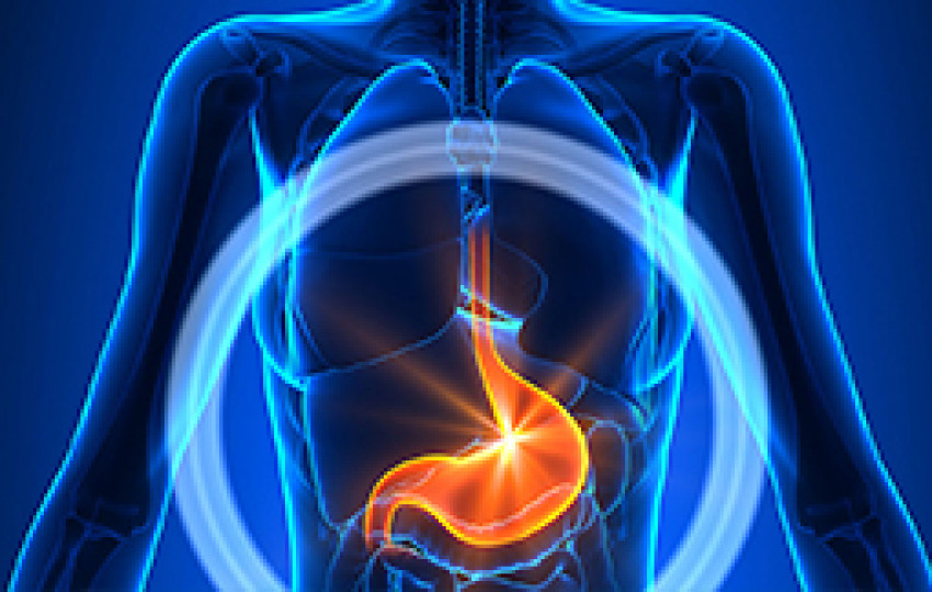 Stomach cancer treatment India