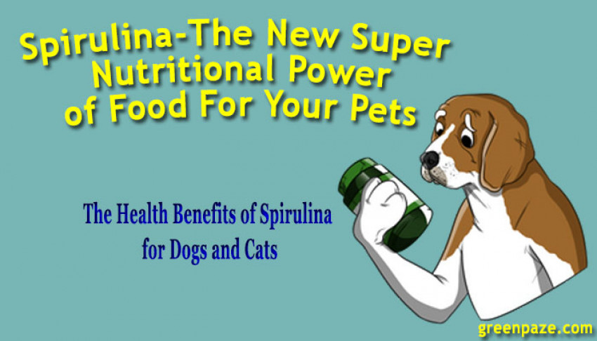 Spirulina-The New Super Nutritional Power of Food For Your Pets