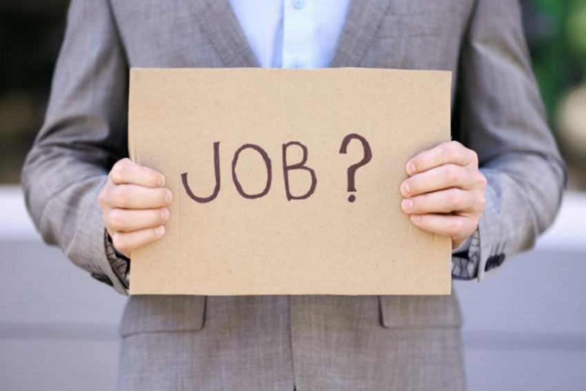 What Are Market Research Jobs? 