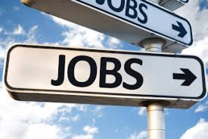 12 Honest Job Hunt Data About Your Job Hunt, From a Beginner Who Does not Beat Around the Bush