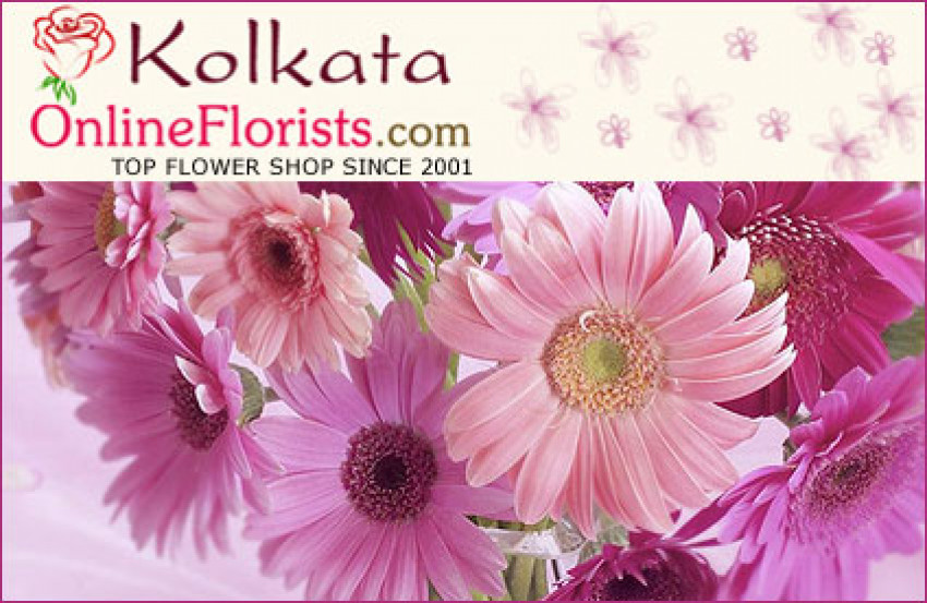 Stunning Launch of Rakhi and Sweets Same Day Delivery in Kolkata Cheap Prices Kolkata
