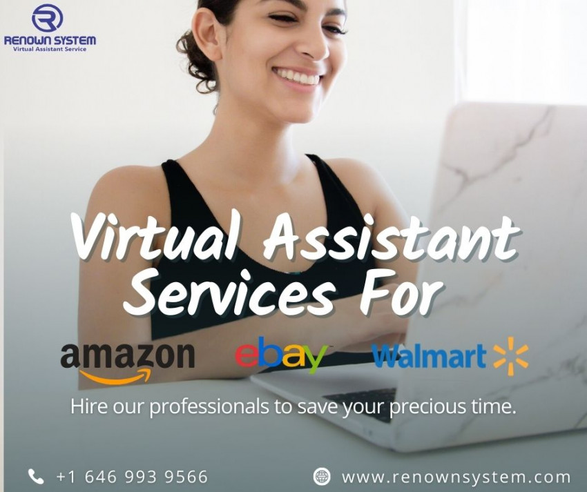 Why does every office require an ecommerce virtual assistant?