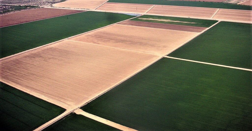 What To Know About Cropping Systems And How It Can Help You?