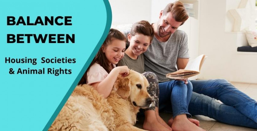 Getting the understanding between Human Housing Societies and Animal distinctions