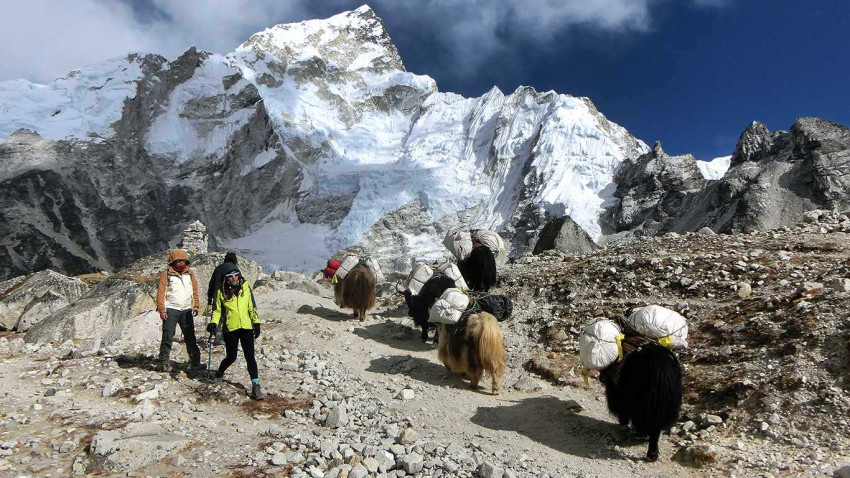 Get Top Class Everest Base Camp Budget trek- Himalayan Trekkers