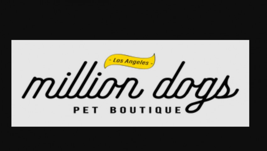 Get more The Cone Collar For Dogs