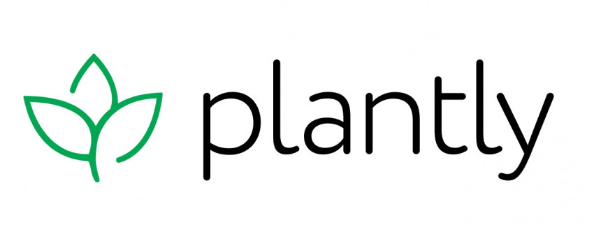 A Secret Weapon For Neverland Plants