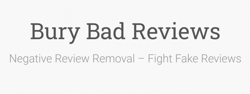 The Reputation Management Services Diaries