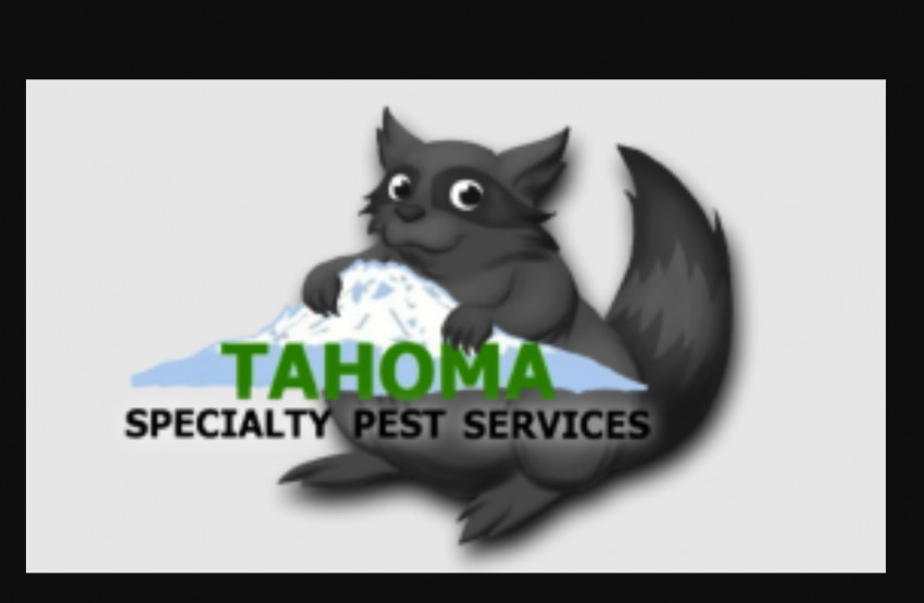 Efficient Pest Control and Pest Management Techniques