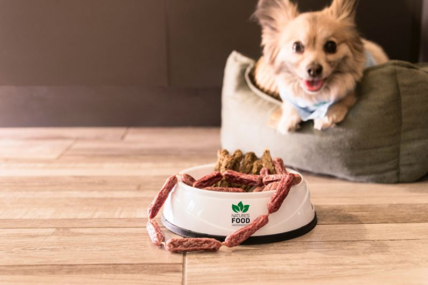 Why should you choose Ziwi peak food for your furry companion?