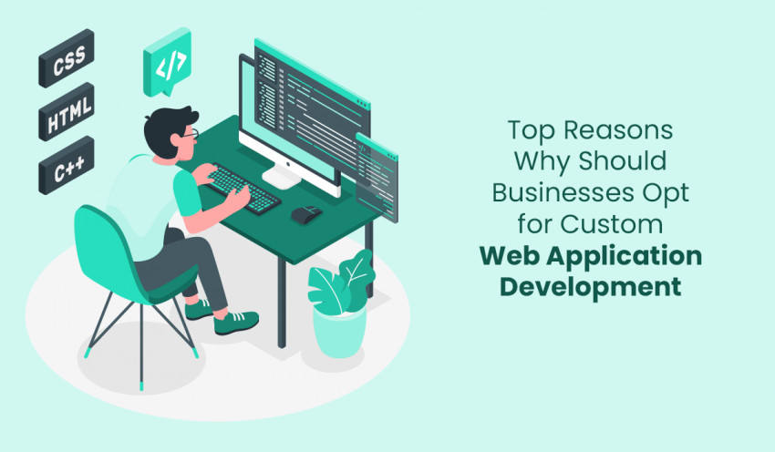 Top Reasons Why Should Businesses Opt for Custom Web Application Development?