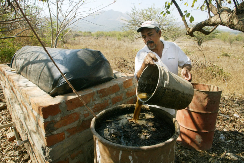 What are biofuels and which ones can you use in your vehicle?