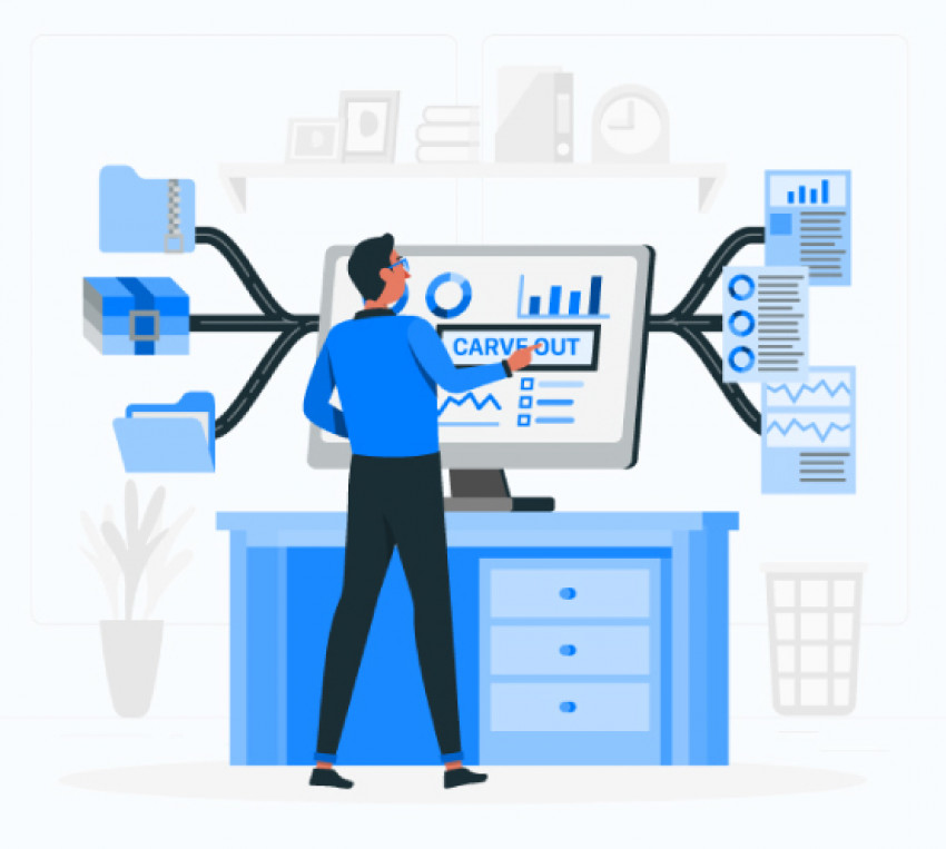 Carve-out - its importance in IT