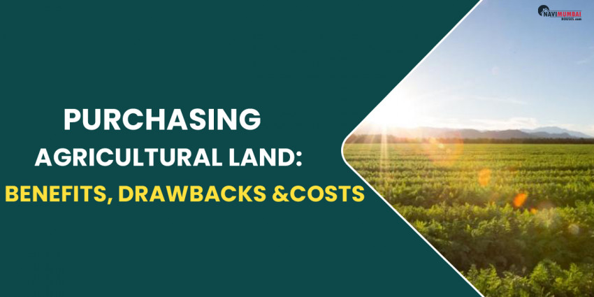 Purchasing Agricultural Land: The Benefits, Drawbacks, And Costs
