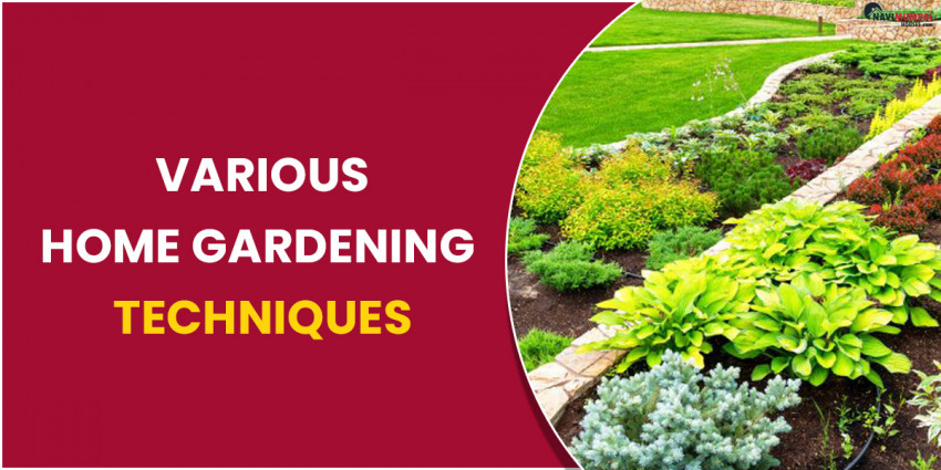 Various Home Gardening Techniques