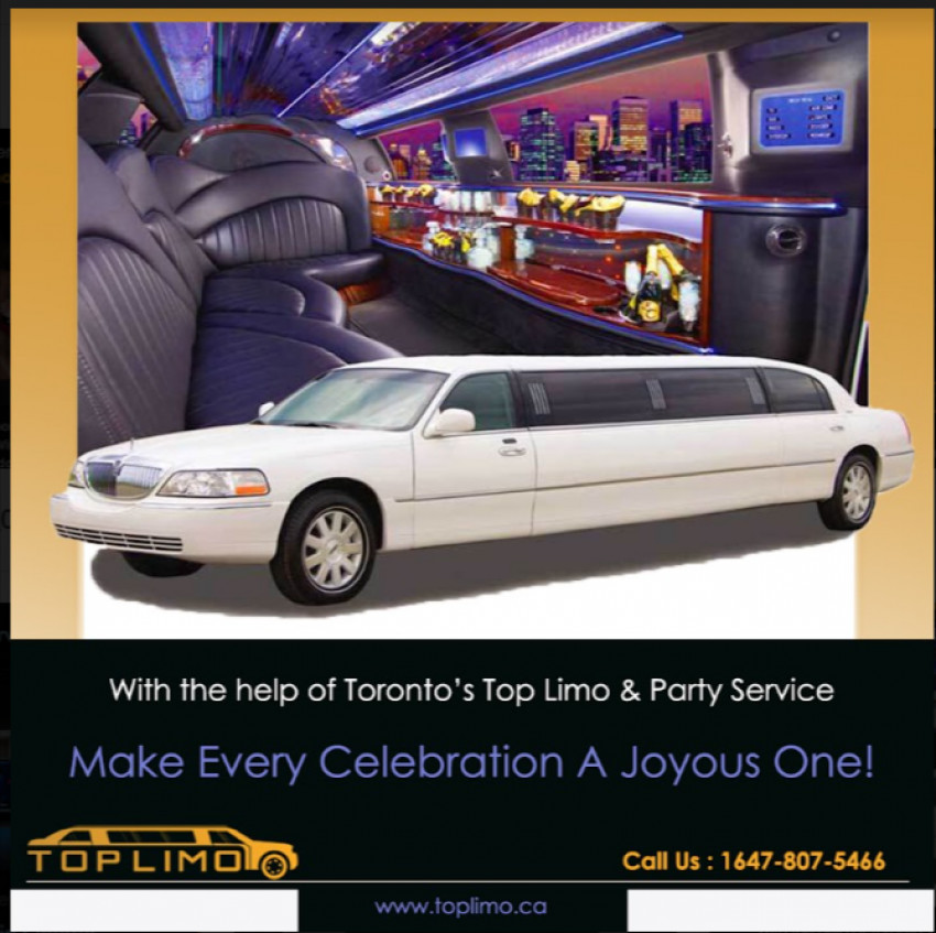 What To Expect From Hamilton Limo Service?