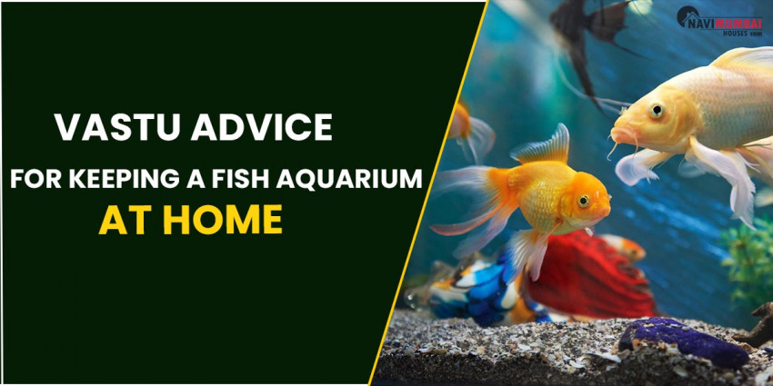 Vastu Advice For Keeping A Fish Aquarium At Home