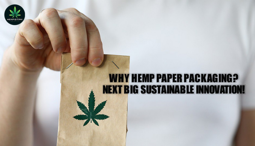 Why Hemp Paper packaging? Next big sustainable innovation!