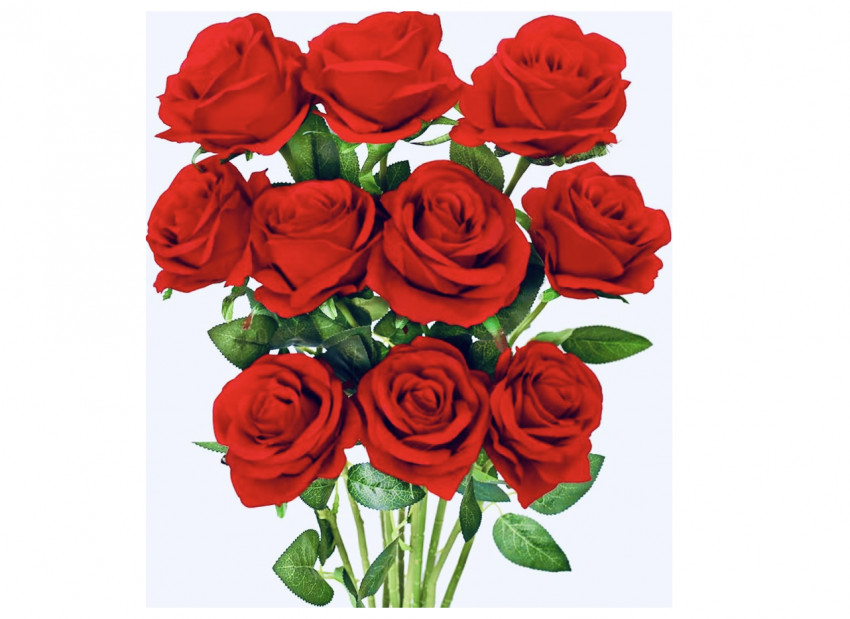 How long is the shelf life of silk roses? how to maintain it