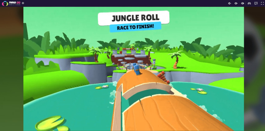 STUMBLE GUYS: A INTERESTING GAME