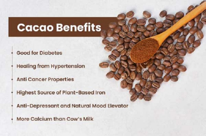 COCOA POWDER BENEFITS AND SIDE EFFECTS