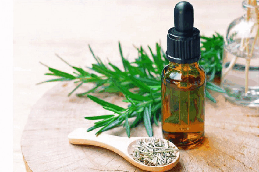 APPLICATION OF ROSEMARY EXTRACT IN FOOD