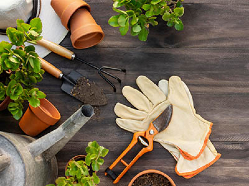 Tool Assistance for gardening novices.