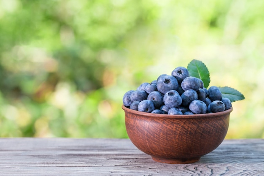 Top 6 Best Proven Health Benefits of Blueberry