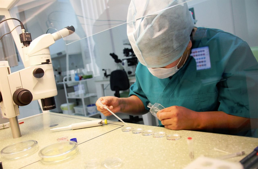 ­IVF Success Stories ­IVF Success Stories