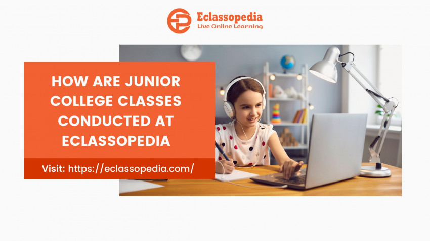 How are Junior College classes conducted at Eclassopedia
