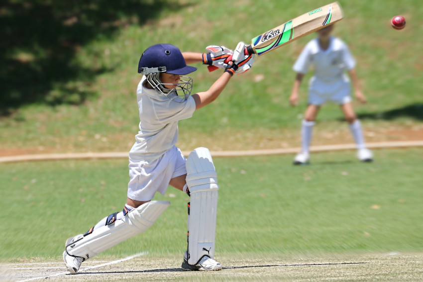 What To Look For In Cricket Batting Pads for Beginners