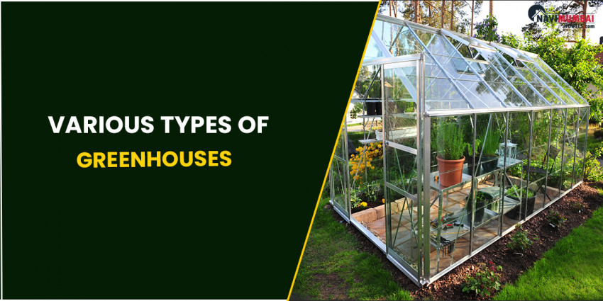 Might it be said that you are Know about The Nursery and Different Kinds Of Nurseries?