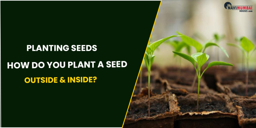 Planting Seeds: How Do You Plant A Seed Outside & inside?