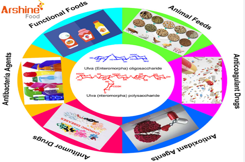 HOW TO ADD FUNCTIONAL OLIGOSACCHARIDES IN DAIRY PRODUCTS