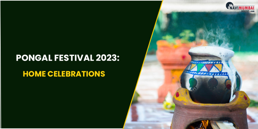 Pongal Festival 2023: Home Celebrations