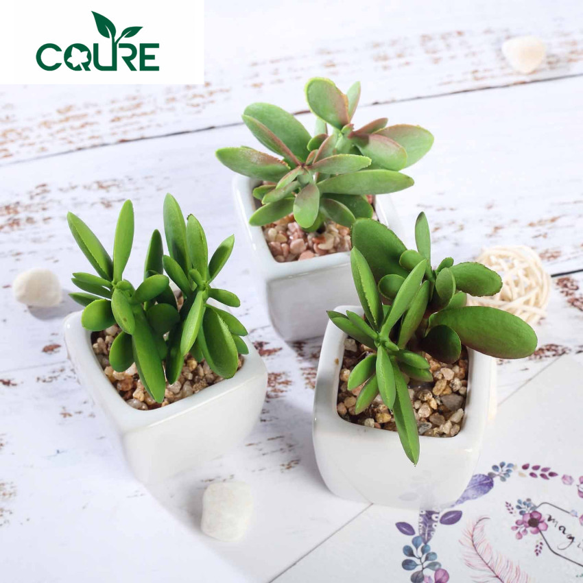 Analyze the advantages and characteristics of ARTIFICIAL SUCCULENTS