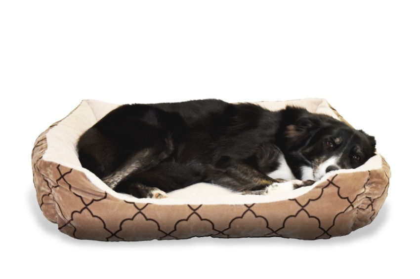 Why Are Good Dog Beds Important?